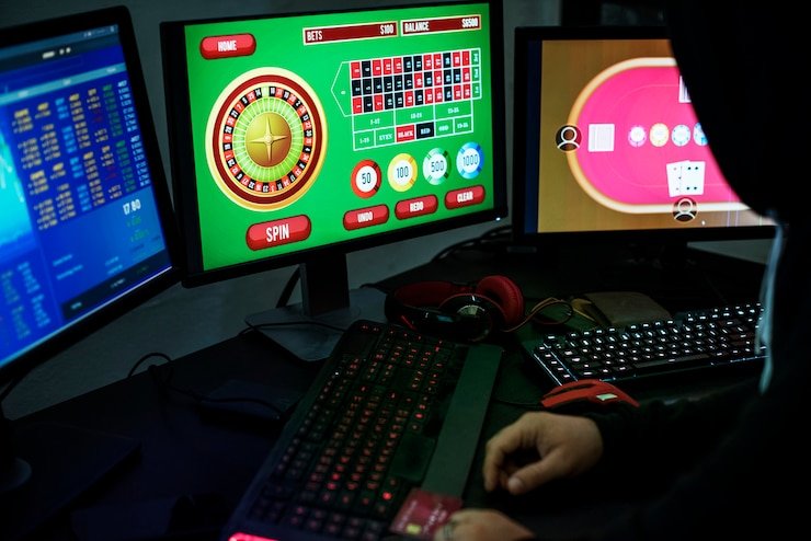 agario account dashboard showing balance, transaction history, and verification status